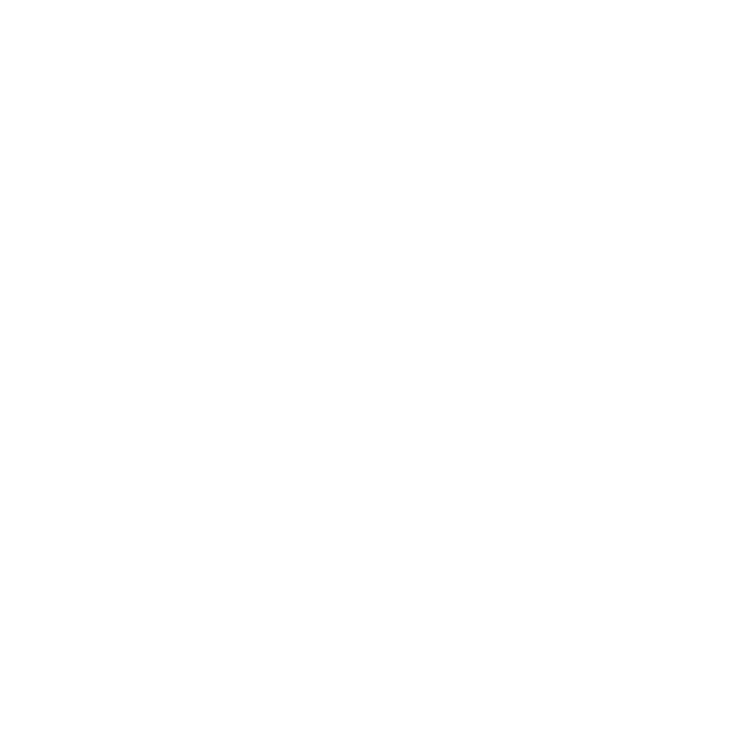 BOSSOL Logo